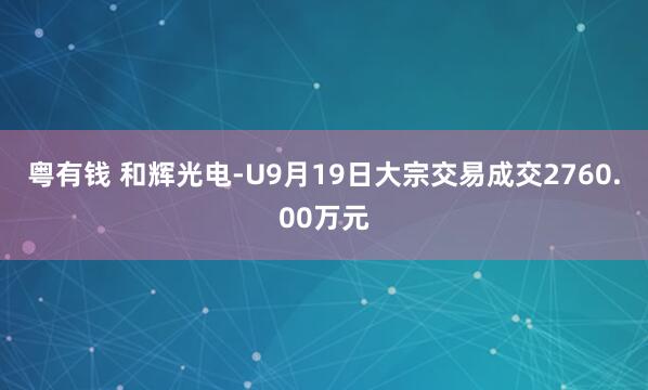 粤有钱 和辉光电-U9月19日大宗交易成交2760.00万元