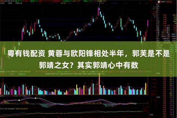 粤有钱配资 黄蓉与欧阳锋相处半年，郭芙是不是郭靖之女？其实郭靖心中有数